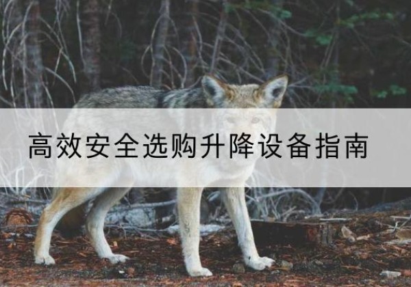 福海升降货梯厂家推荐-*安全选购升降设备指南
