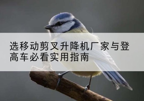 福海电动升降机厂家-选移动剪叉升降机厂家与登高车必看实用指南